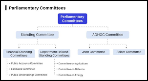 PARLIAMENTARY COMMITTEES